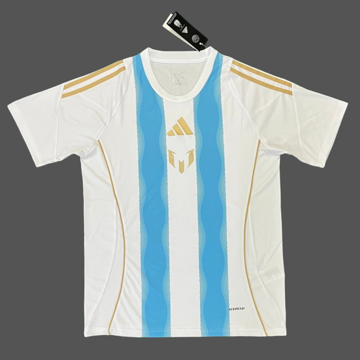 Fan version Argentina Spark 10th Generation Home Stadium